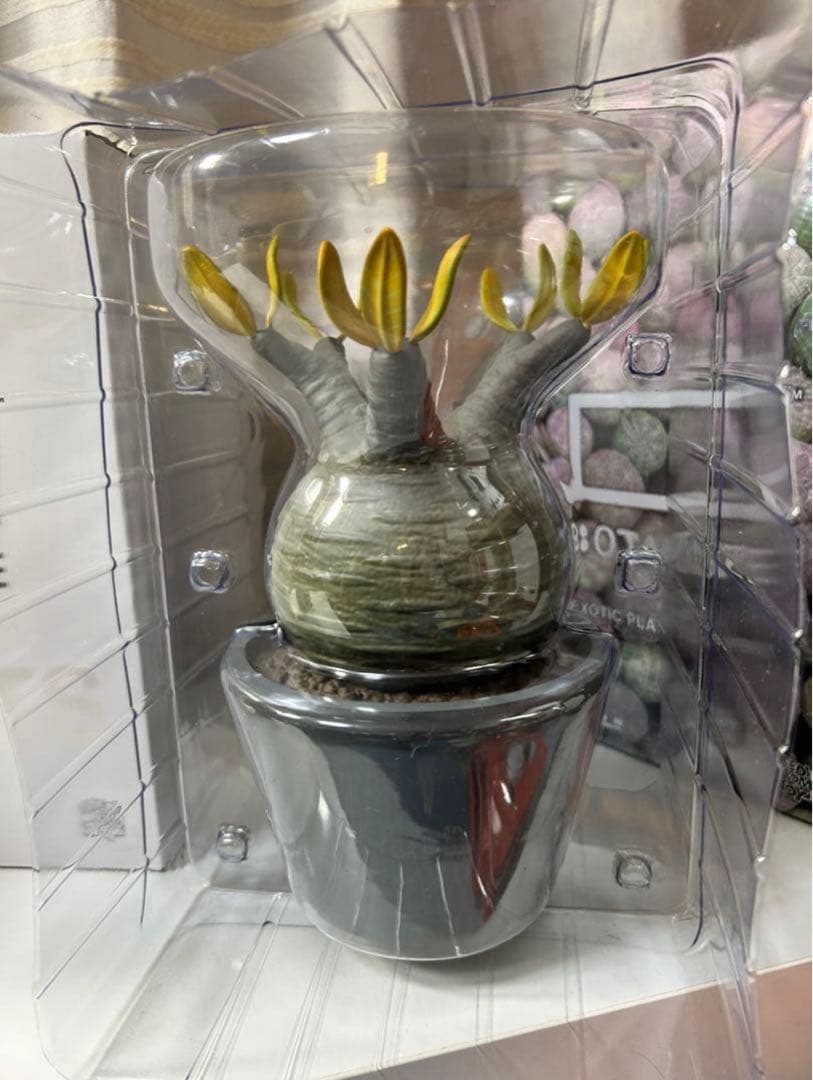 MEDICOM TOY×BOTANIZE メディコムトイ×ボタナイズ おまけ付セット