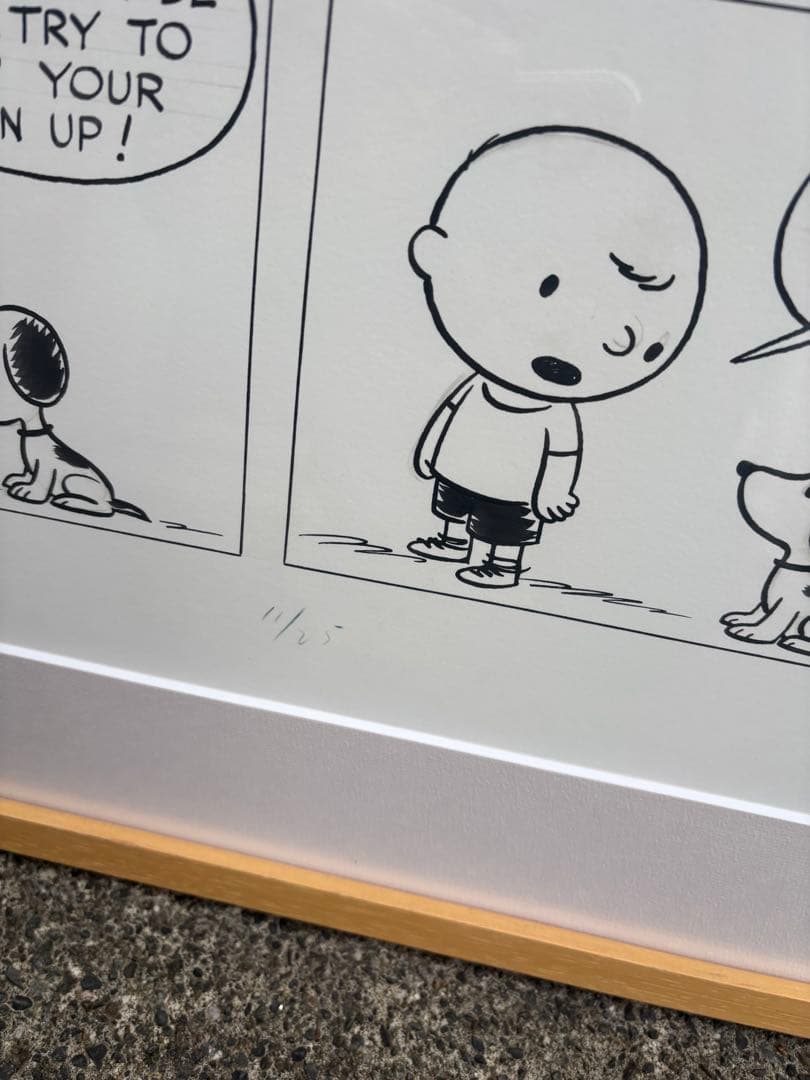 PEANUTS SNOOPY 複製原画 スヌーピー 限定25