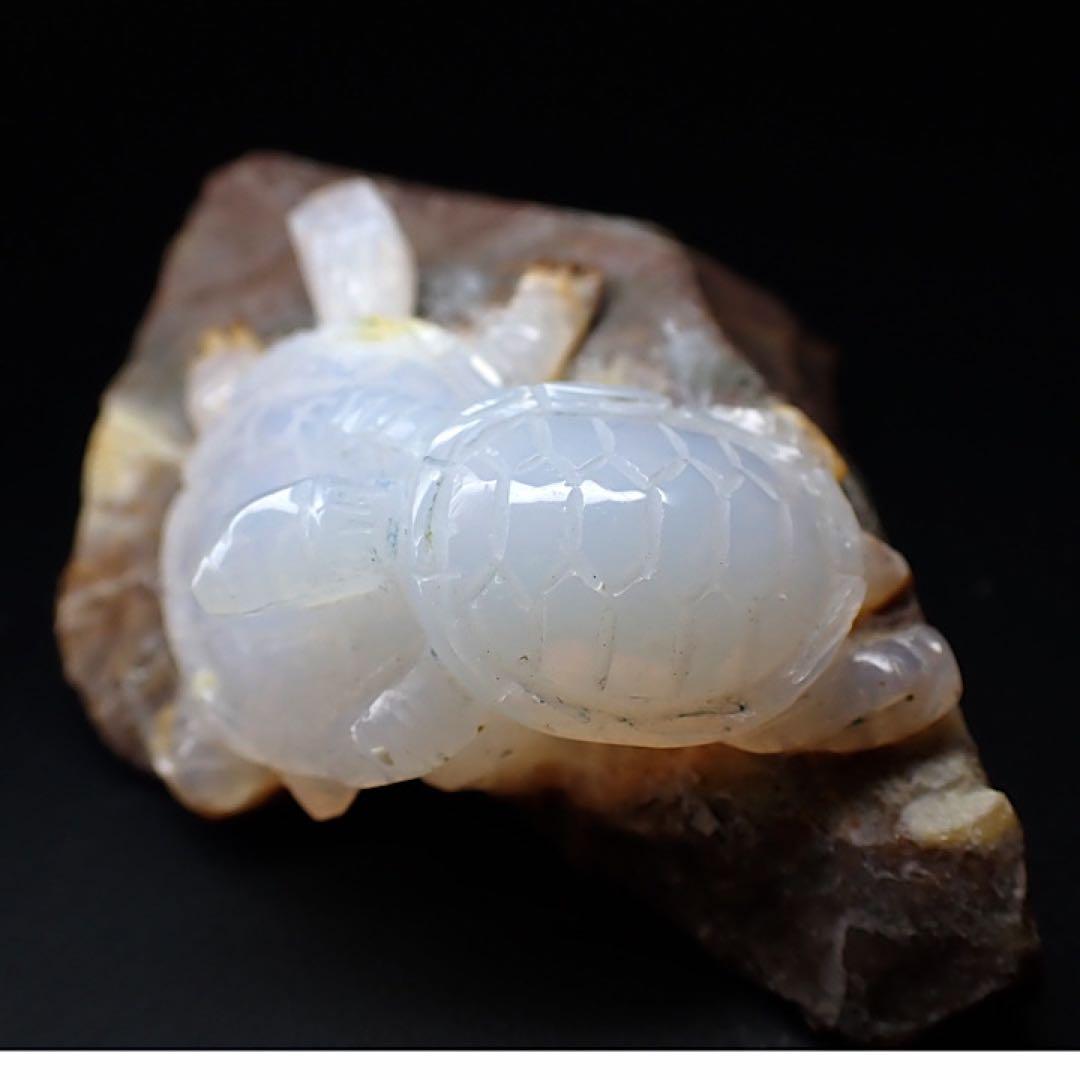 オーストラリア産】オパールカービング(親子亀モチーフ)