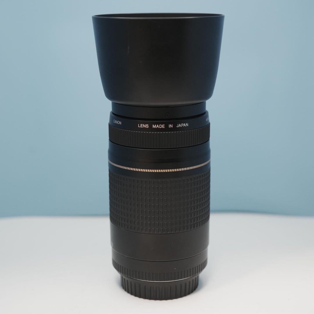 Canon純正 75-300mm 望遠レンズ a3115 □美品□ CANON EF 75-300mm F4-