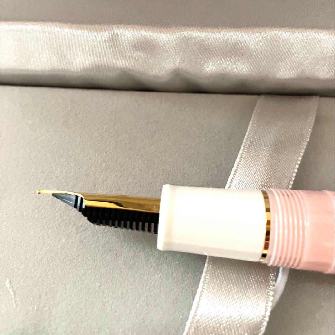 ペントノートオリジナル万年筆 ゆきのしたでミニ 中字 詳細ページ