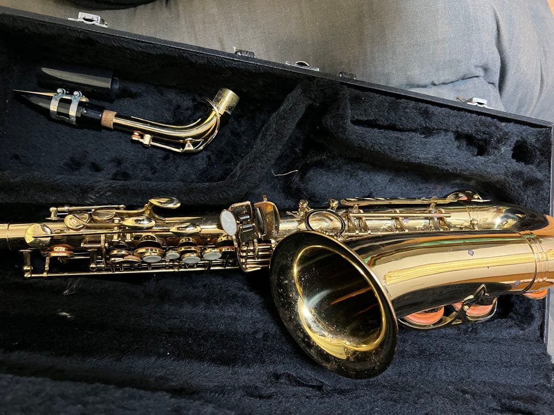 Max Toneアルトケースネックストラップリガチャーリード付Rapsag