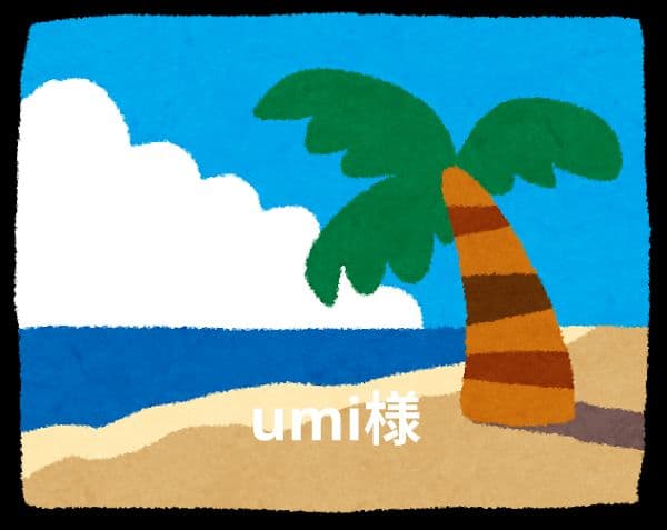 umiさま専用 UMIさん専用 ミさん専用 みさん専用 Mさん専用 ZX-