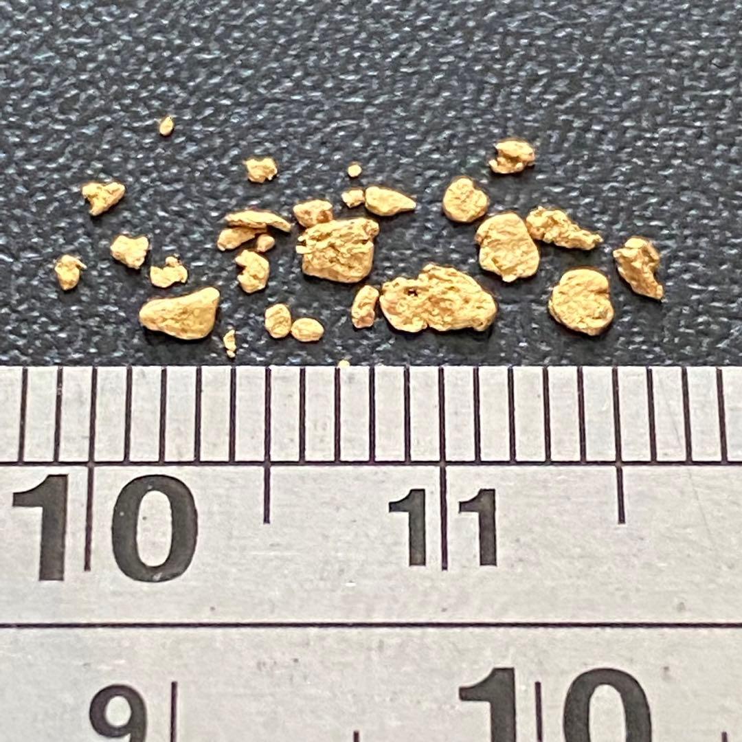 北海道産】特大含む、天然砂金6粒セット☆自由研究素材やコレクション