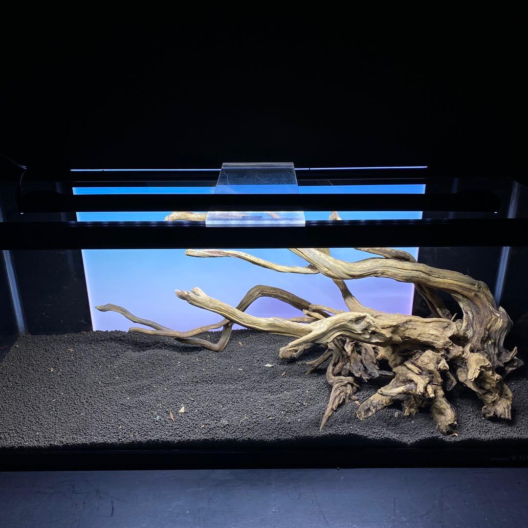 MSRW-6372 天然流木レイアウトセット スリムウッド アクアリウム
