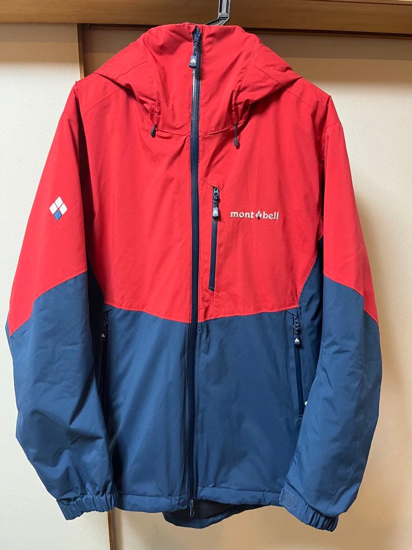 コスタリカ産 昆虫標本 2種セット - WWW.STARCARSHQ.COM