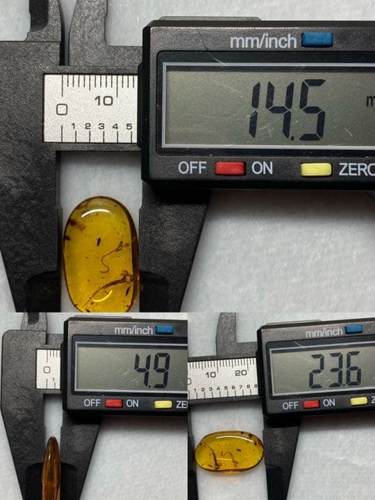 琥珀 虫入り 天然 アンバー 罕石卵 天然石 ムカデ 百足 甲虫