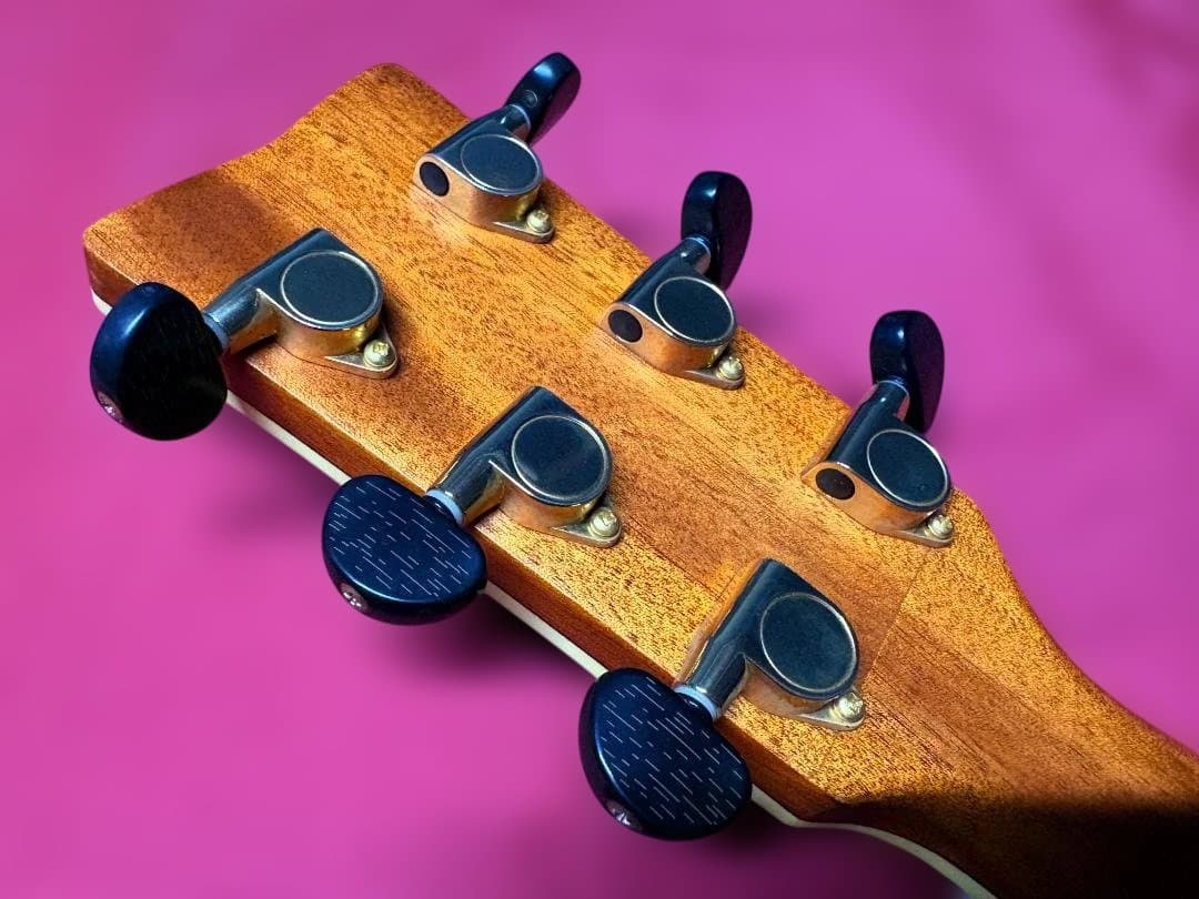 ☆極上単板トップ仕様！ヤマハ FSX-900SCがこれだ！超激鳴・新品