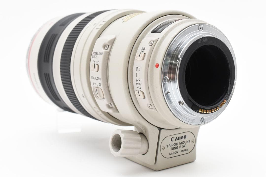 Canon EF 100-400mm Ｆ4.5-5.6 L IS USM 772