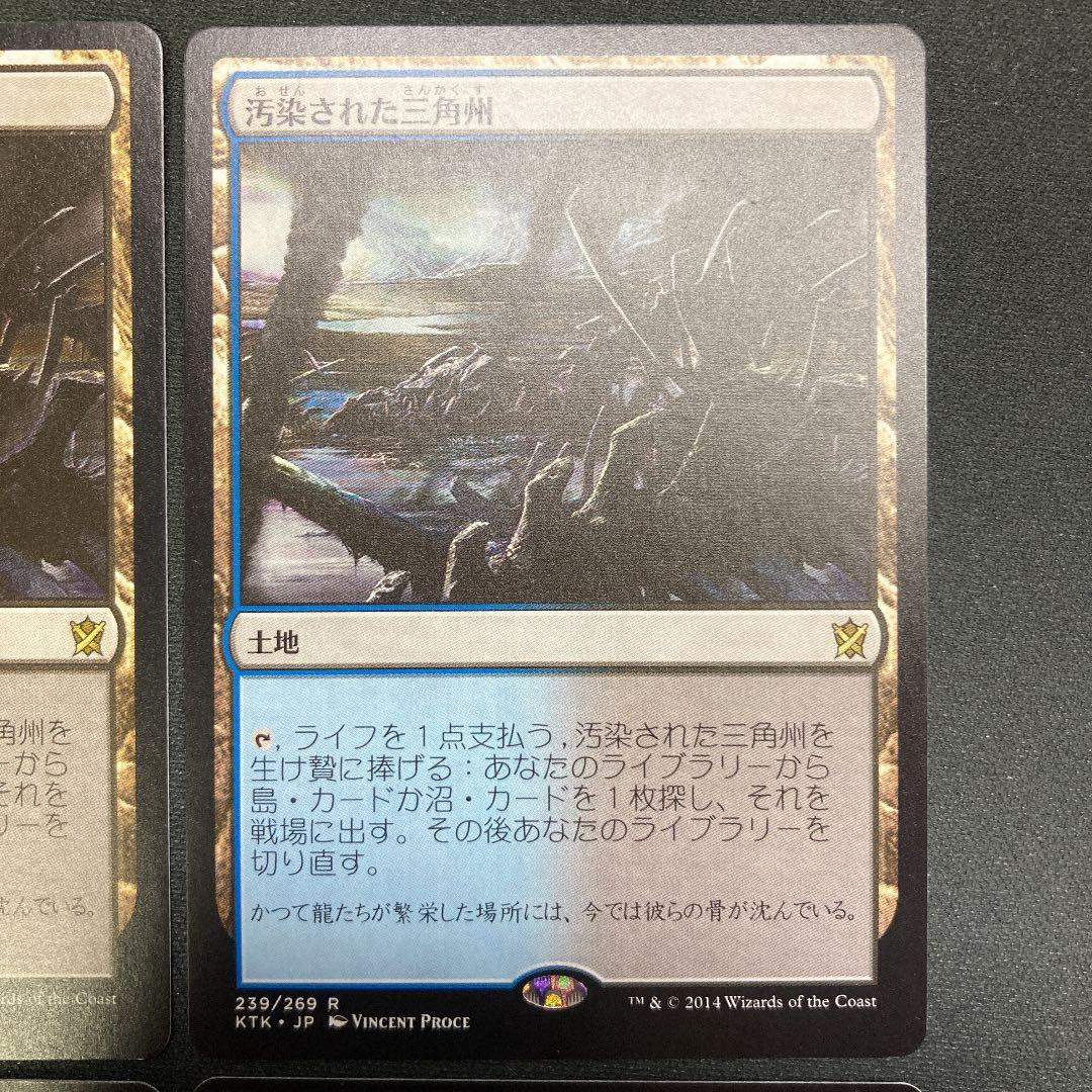 汚染された三角州/Polluted Delta日本語4枚