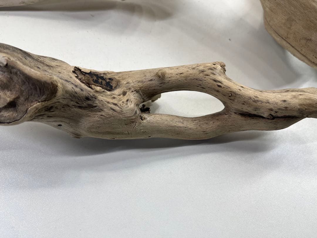 F7アク抜き済み流木セット 爬虫類シェルター 登り木 インテリア 生け花