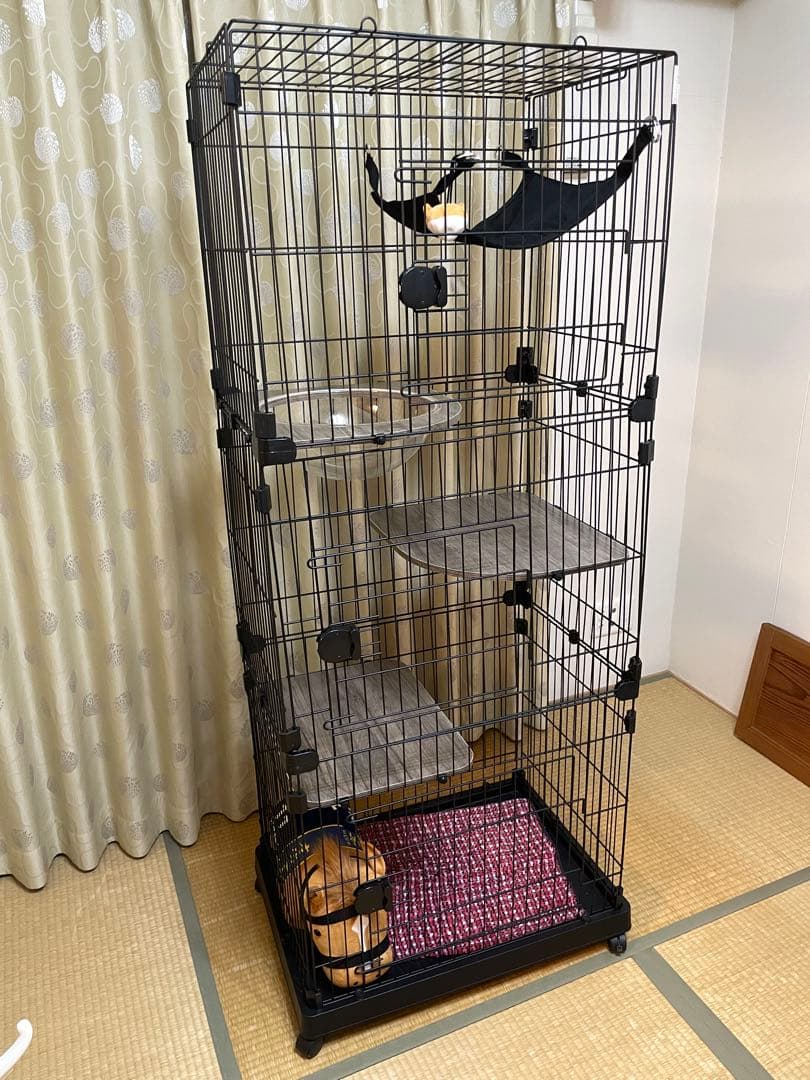 Dr´s Care キドニーケアプラス 480g 猫用 4袋セット未開封