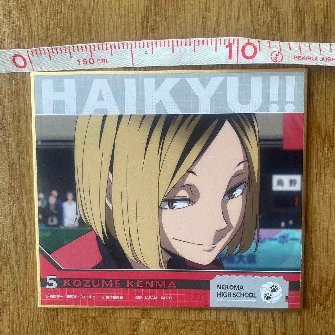 10点 孤爪研磨 こづめけんま ハイキュー!! FAN PARK ファンパーク カード【