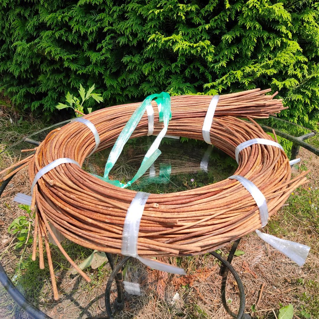 青森県岩木山採取　あけび蔓　150cm～　1kg