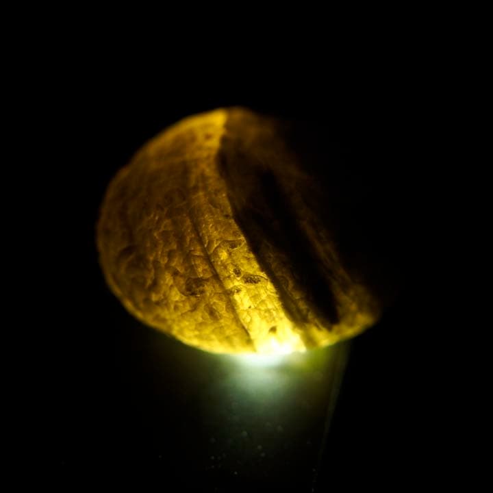 チンターマニストーン 7g サフォーダイト 隕石ガラス チンターマニ