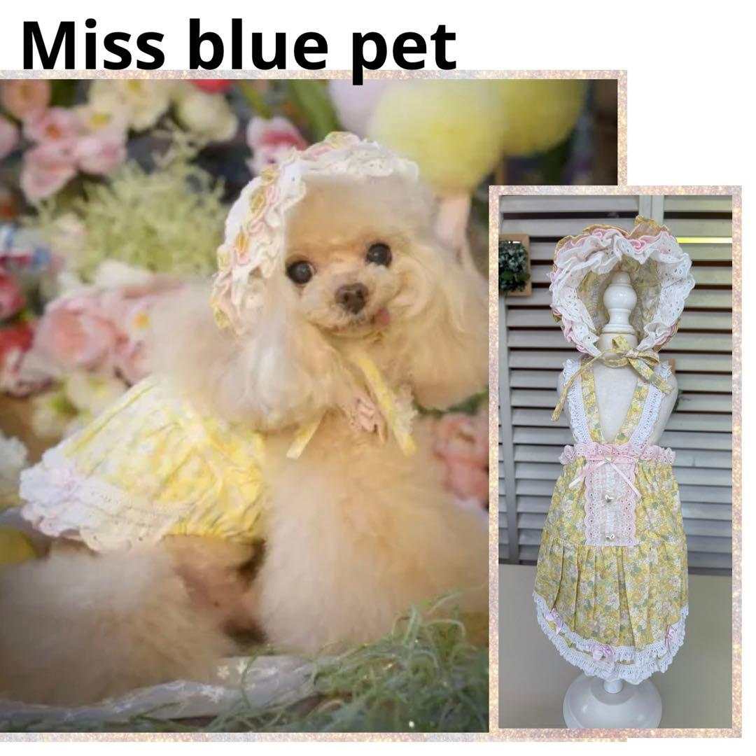 犬用ペット服 きゃんナナ」の人気商品一覧 | 安い商品を通販