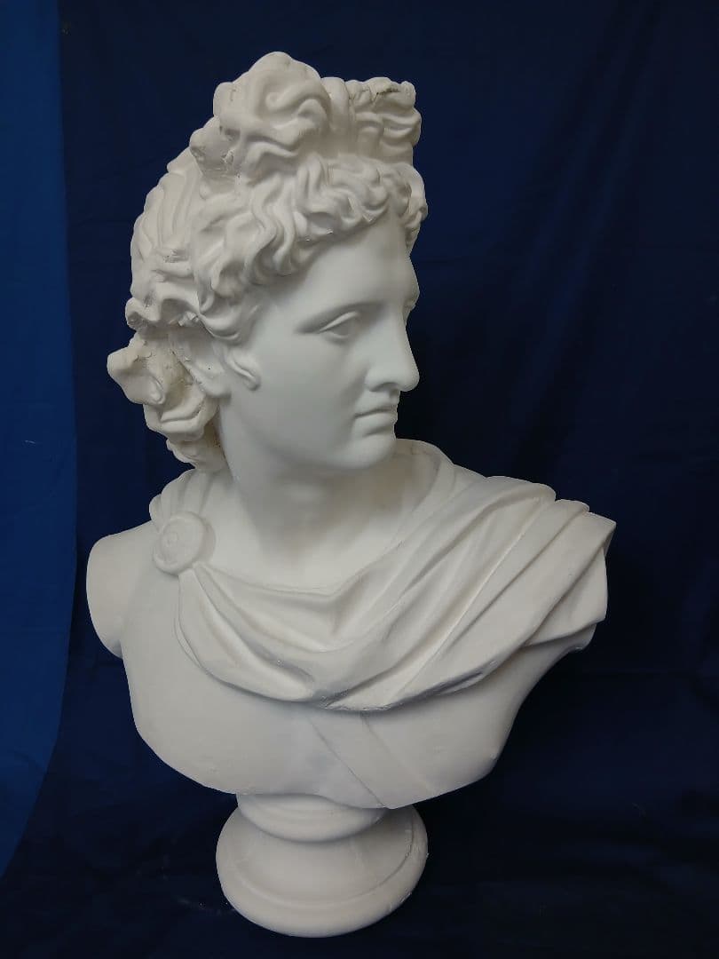 アポロ胸像(高さ81cm)
