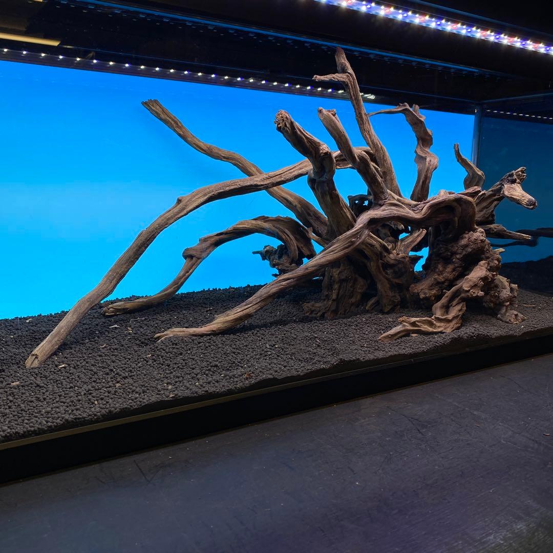 MSRW-6735 天然流木レイアウトセット スリムウッド アクアリウム