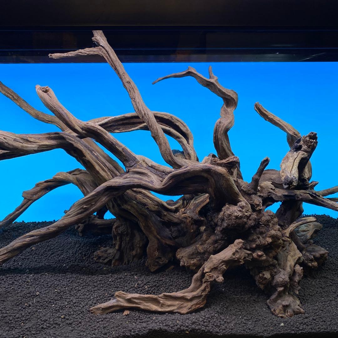 MSRW-6735 天然流木レイアウトセット スリムウッド アクアリウム