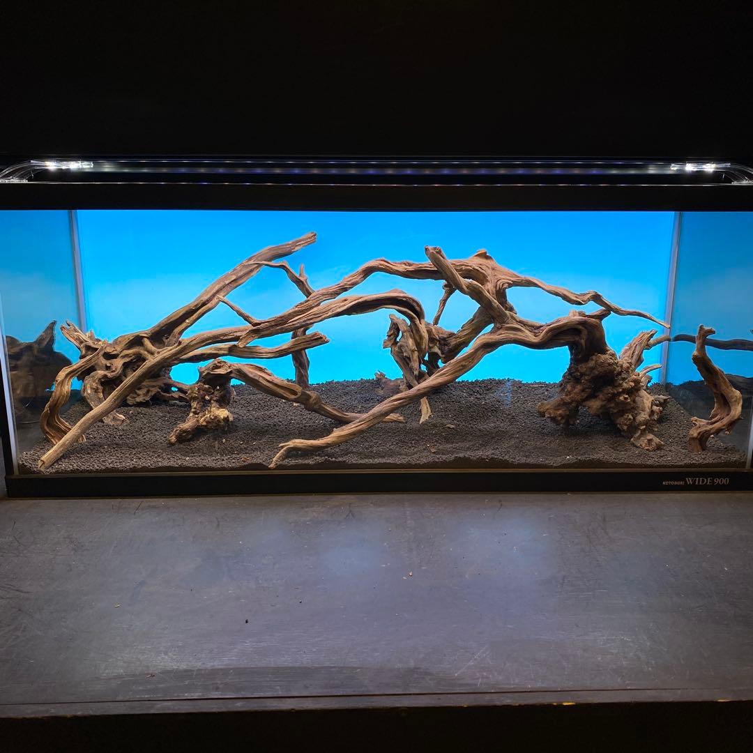 MSRW-6735 天然流木レイアウトセット スリムウッド アクアリウム