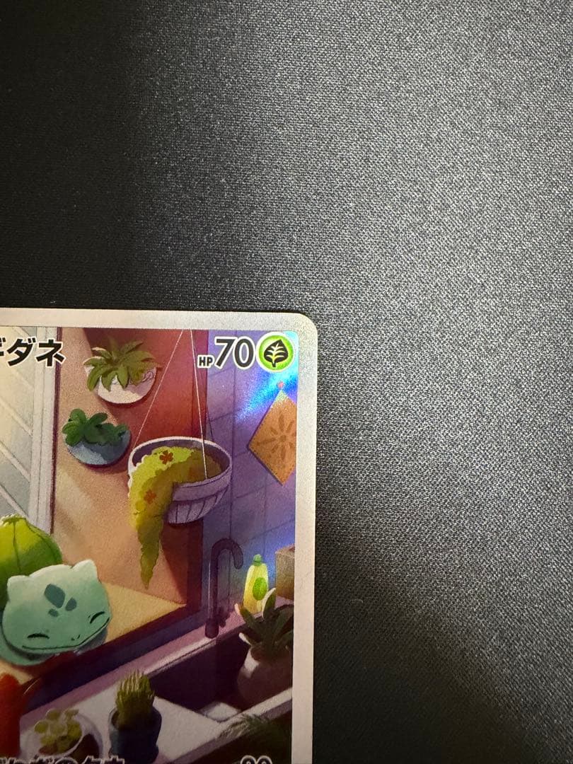 フシギダネ ヒトカゲ ゼニガメ スペシャルデッキセット プロモ 3枚セット