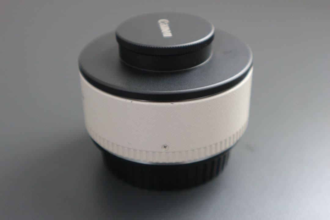 レンズ(単焦点) Canon EXTENDER EF 1.4x