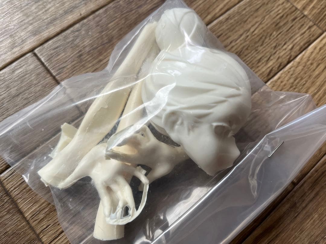 ガレージキット　軽音堂　めがねさん「黒」