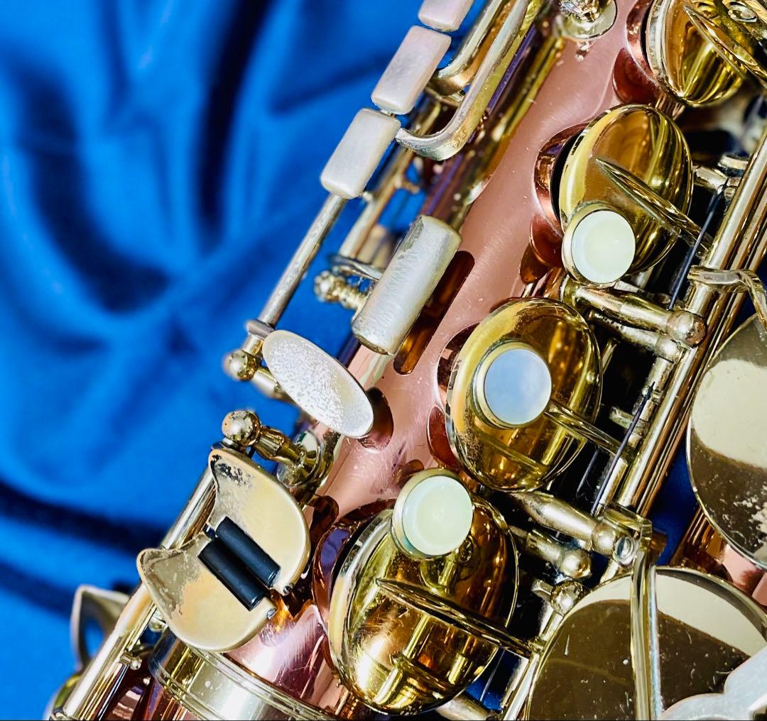 ビュッフェクランポン プレスティージュ S3 (アルトサックス)【超希少ケース】