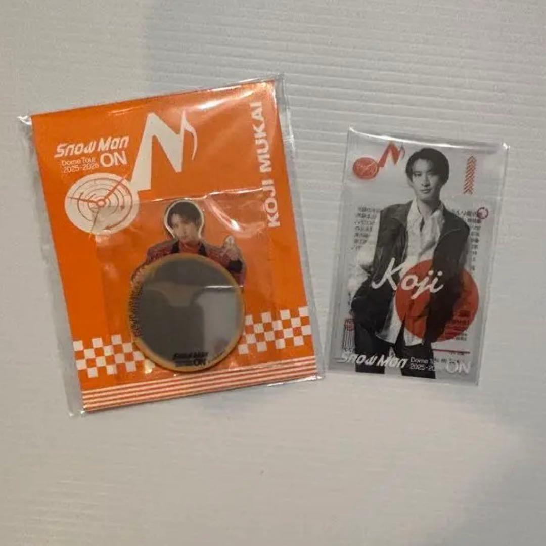 SnowMan 向井康二 ONグッズ うちわ ペンライト おまけ付き SnowMania