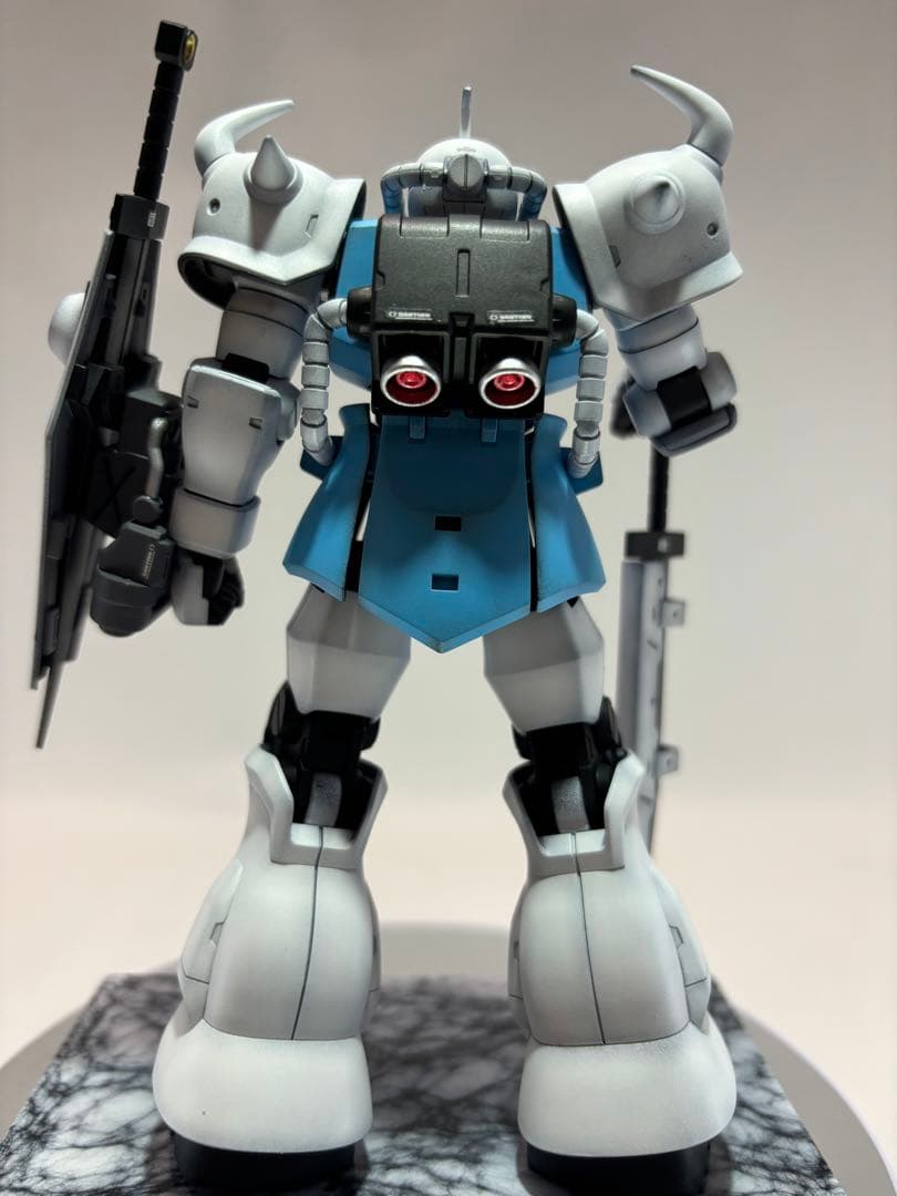 HG グフカスタム(ヴァイスローゼ)塗装完成品