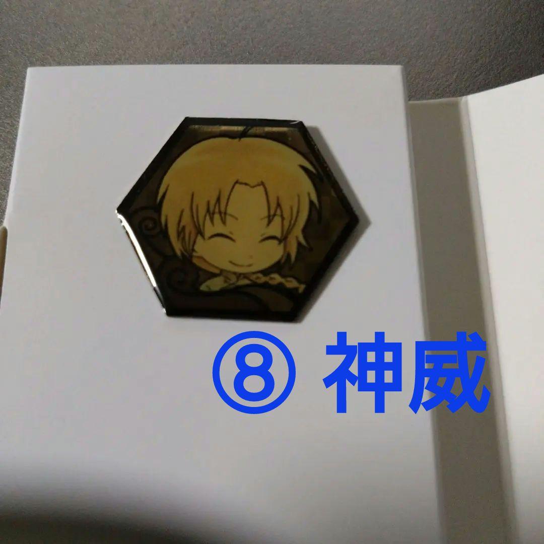 銀魂 ピンズ 全12種セット ピンズアソート ホログラム仕様