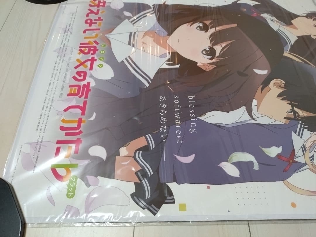 【非売品・未開封】テレビ放送告知ポスター　冴えない彼女の育てかた　公式　新品