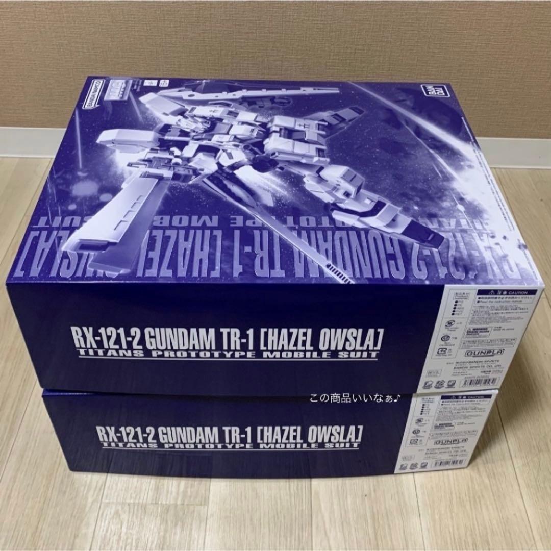 【値下げ中】ＴＲ-１［ヘイズル・アウスラ］ガンダム ＭＧ 1/100 新品２点