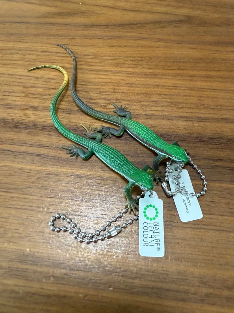 ♯Gti10IVネイチャーMONOトカゲヤモリストラップ マグネット14種