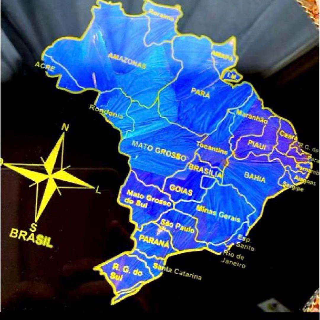 モルフォ蝶】大型ブラジル地図壁掛けアート 29センチ 天然石装飾 稀少