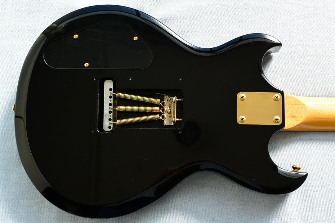 Aria Pro II CS-350T ピックアップ増設 バーズアイピックガード - メルカリ