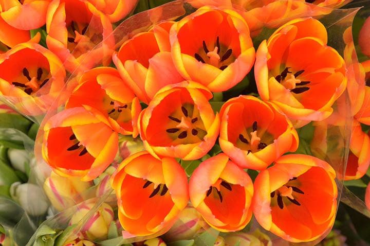 レンズ(ズーム) Nikon AF-S NIKKOR 24-85mm f/3.5-4.5 VR