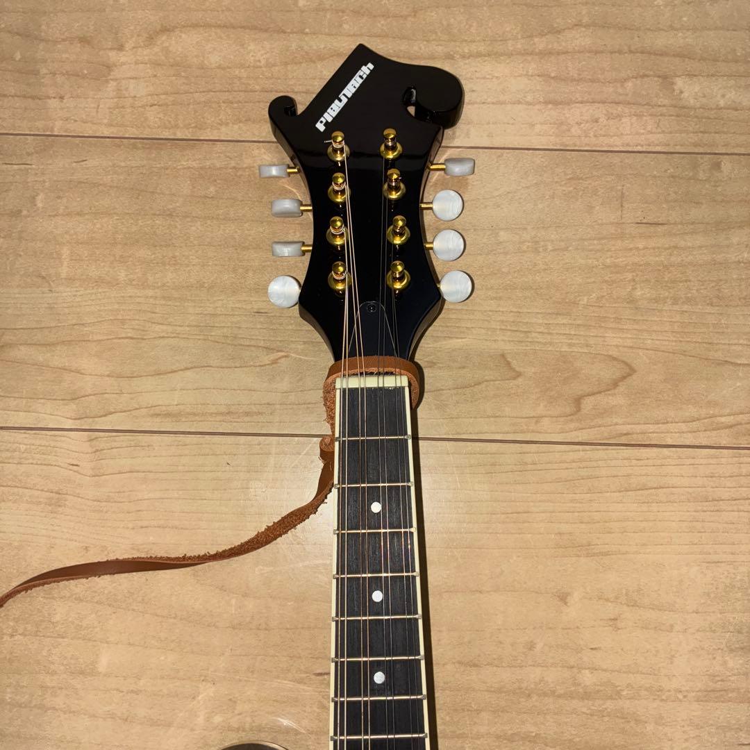 プレイテック　Playtech F型マンドリン　PFM10F ギグバック付き！