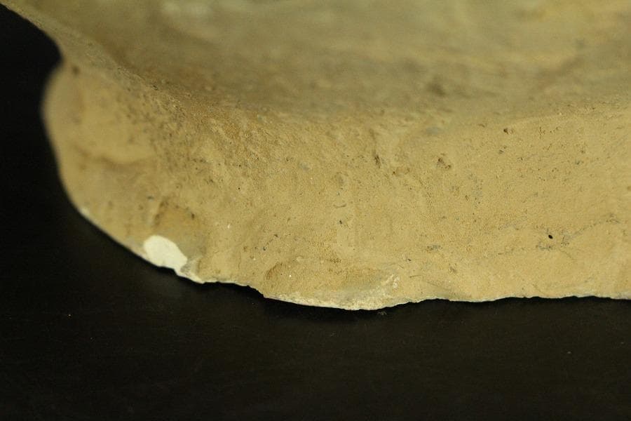 中国美術 唐三彩 貼馬紋 注瓶 壷 高29cm 希少(LC241)