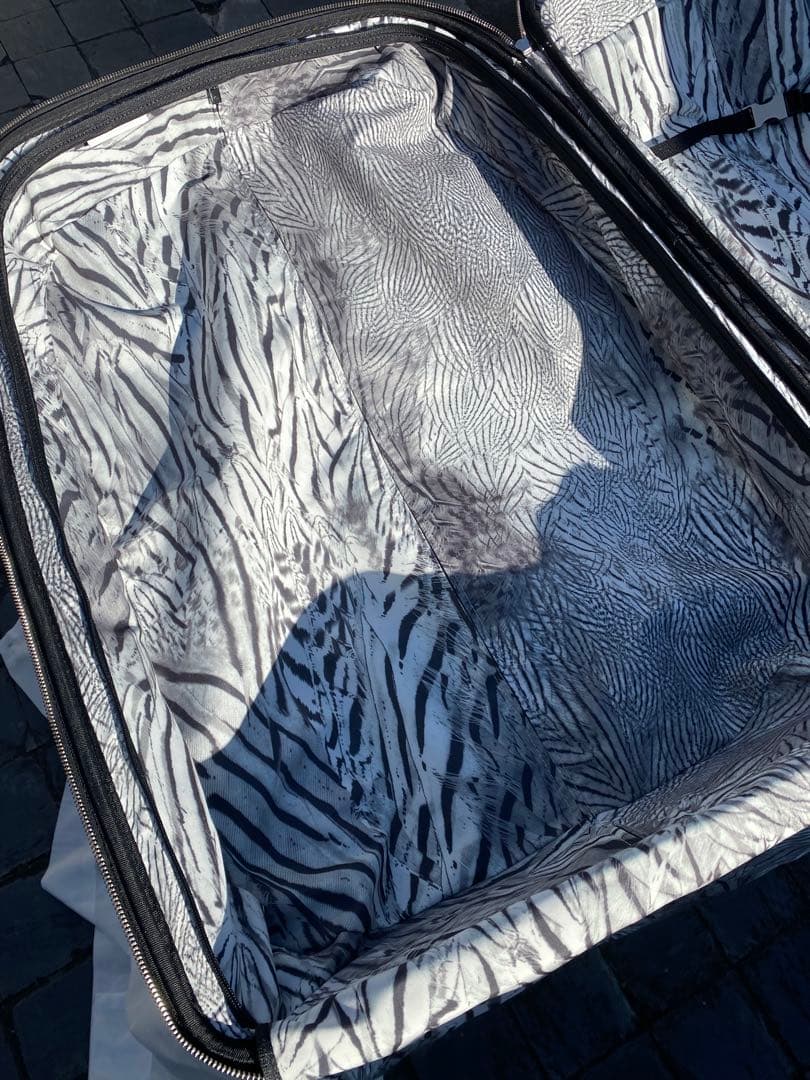 サムソナイト アレクサンダーマックイーン スーツケース Samsonite