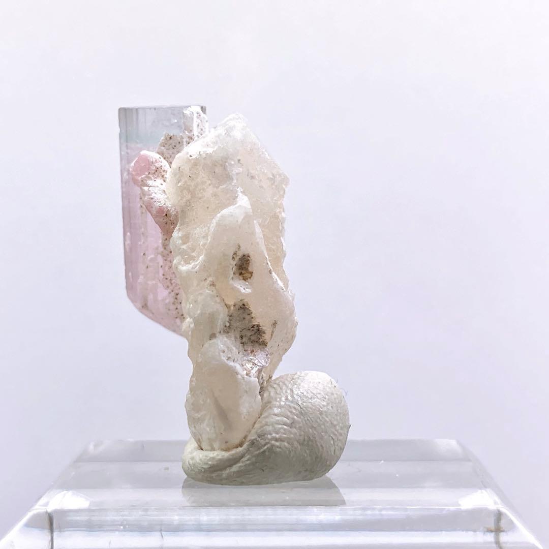 G*G様 『バイカラー』 トルマリン 原石 鉱物標本 天然石 706