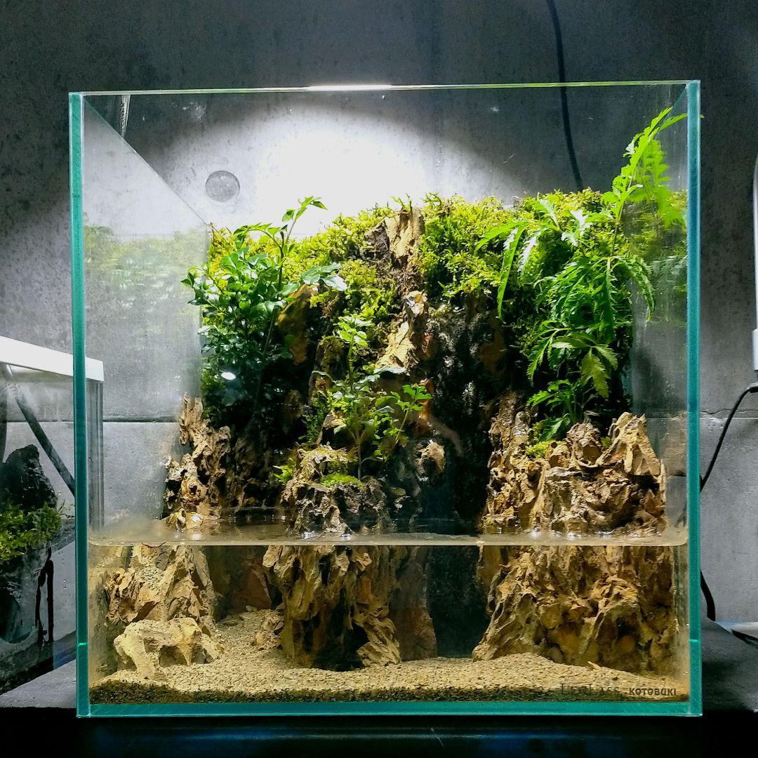 滝の流れるアクアテラリウムイモリウムNo.1065