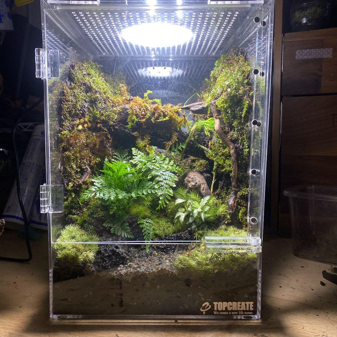 小売業者 よし様専用 よし様専用 よし様専用 よし様 専用 よし様専用