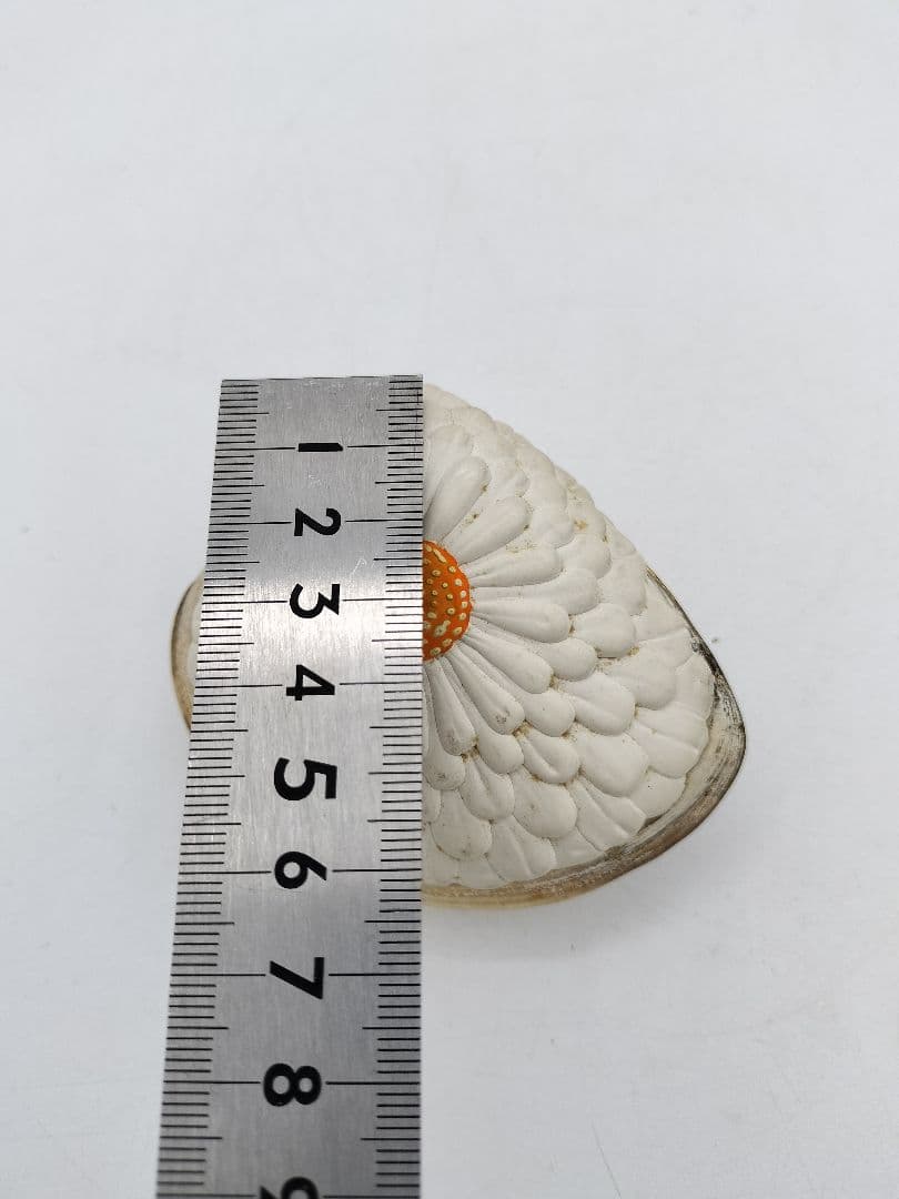 c453 貝香合 置上蛤 有職 島津豊泉 木箱 茶道具 古物