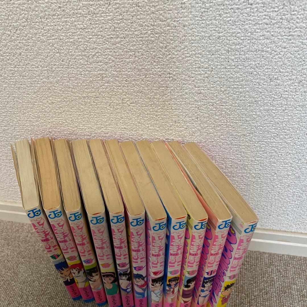 やるっきゃ騎士全11巻セット