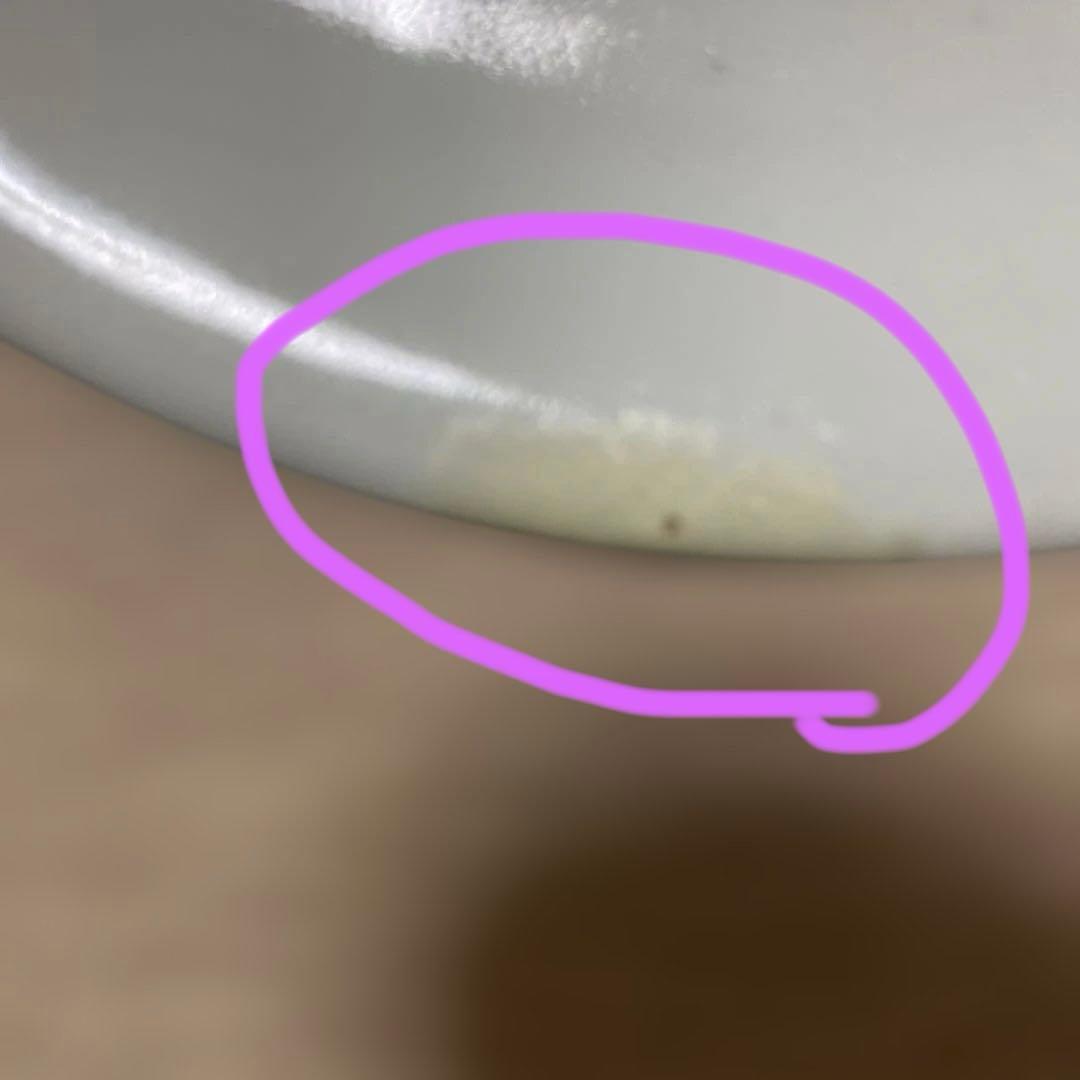 色九谷　草花文　皿