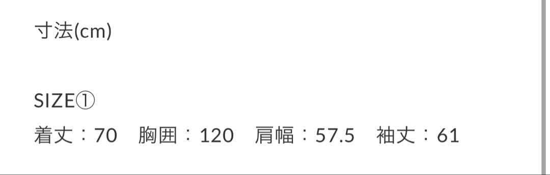 Nasty Dog フード付きジャケット ブラック