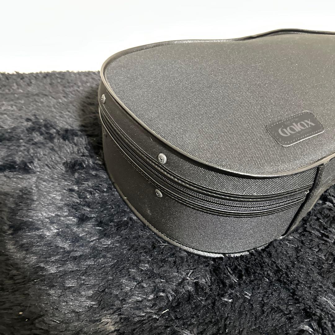 レア! Galax ビオラ用 セミハードケース 弦楽器 黒