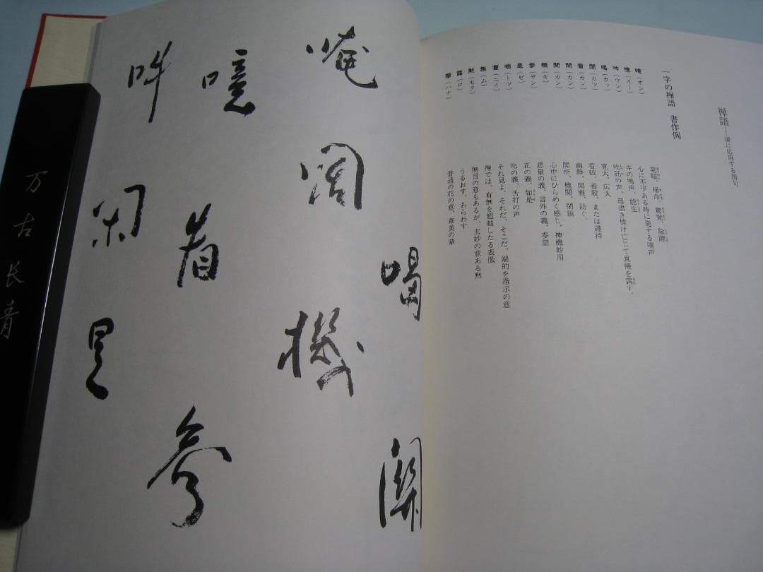 石田豪澄書豪華本 【達磨真百態 石田豪澄 日貿出版社】豪