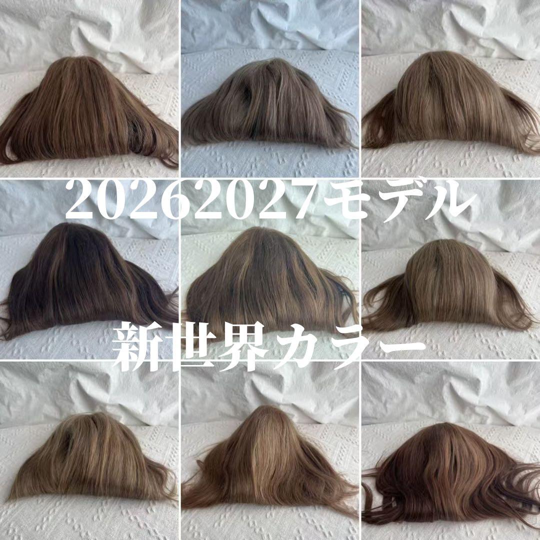 2026新世界　人毛　ウィッグ　フルウィッグ　シルクスキン　医療ウィッグ　レミー